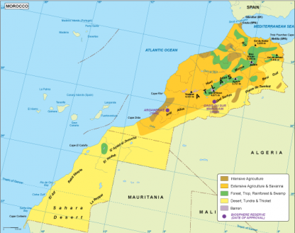 Morocco vegetation map