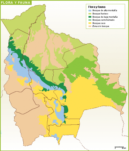 Bolivia mapa flora fauna