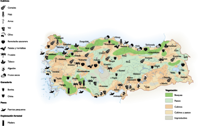 Turkey Land Use map